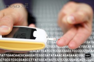 Type 2 Diabetes 28081593711