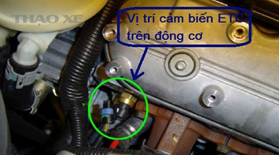 Dấu hiệu nào cho thấy hệ thống điện hoặc cảm biến đã bị lỗi sau khi qua nước?