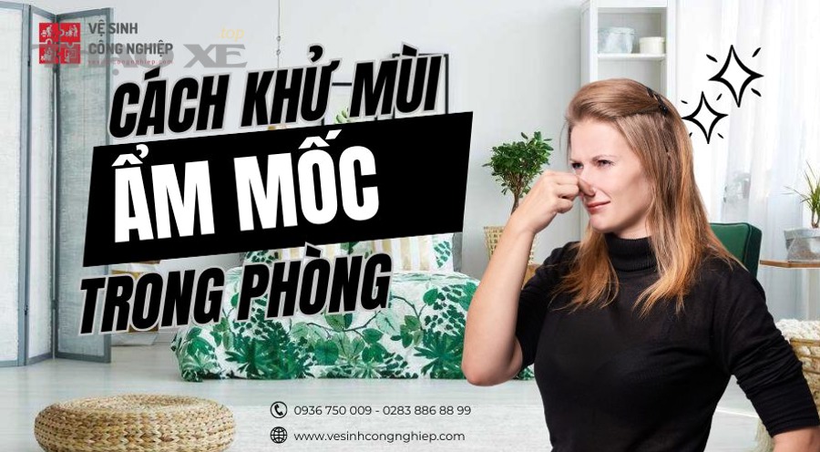 Phòng tránh mùi ẩm mốc và xử lý mùi ẩm mốc có gì khác nhau?