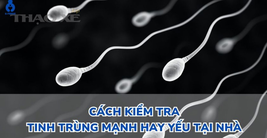 Nên đo lúc đói hay sau ăn để “ra đúng thứ bạn cần”?