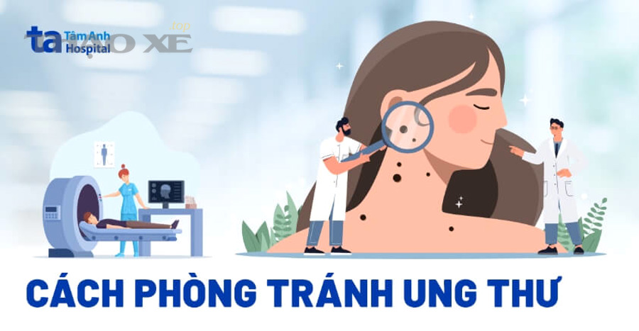 Những trường hợp nào khiến tắt AC trước khi dừng xe vẫn chưa đủ để điều hòa ô tô hết mùi?