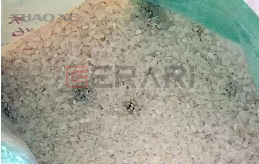 Không gian trong nhà có dấu hiệu ẩm mốc và cần xử lý mùi ẩm mốc