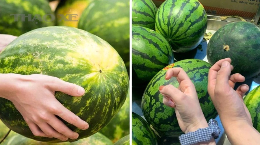 Máy cân chỉnh góc đặt bánh xe trong xưởng dịch vụ