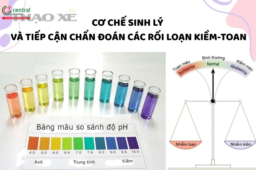 Thử ở số N và D là gì và khác nhau ở điểm nào khi chẩn đoán rung xe?