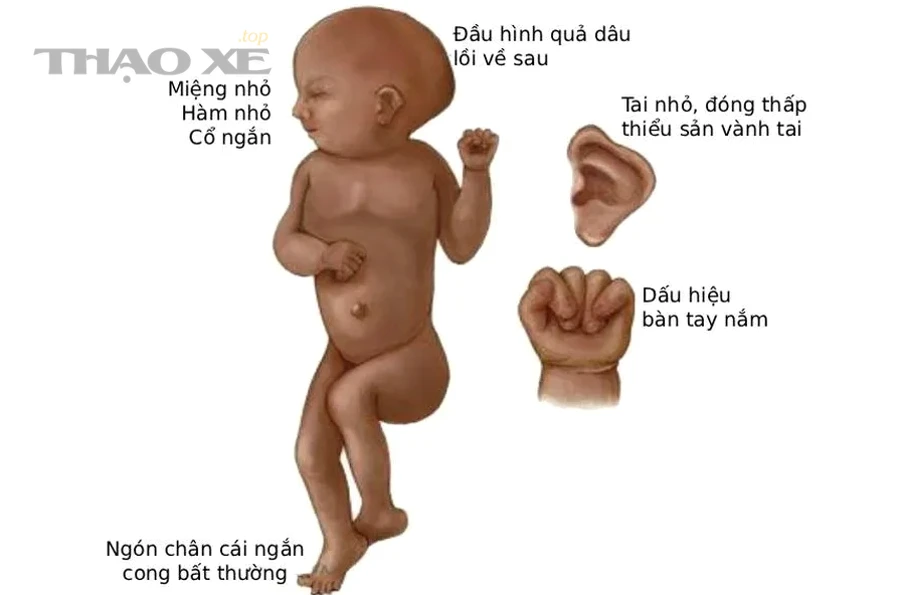 Kiểm tra xe sau đại tu ô tô tại xưởng dịch vụ