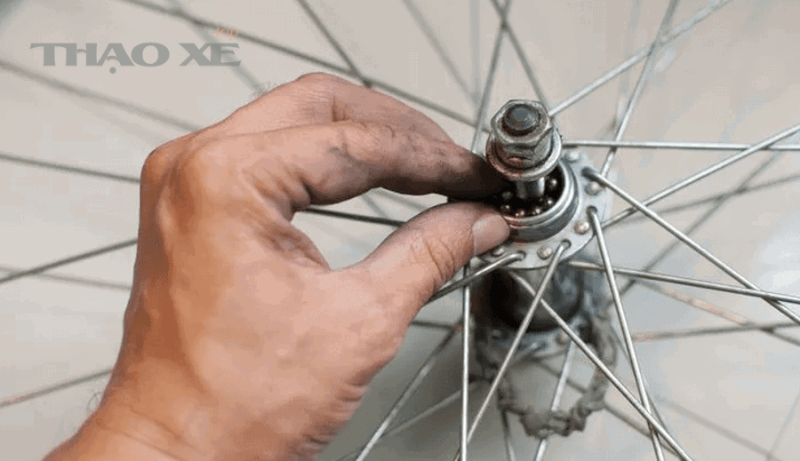 Tiếng kêu do bạc đạn bánh xe khác gì với tiếng kêu do lốp, phanh hay hệ treo?