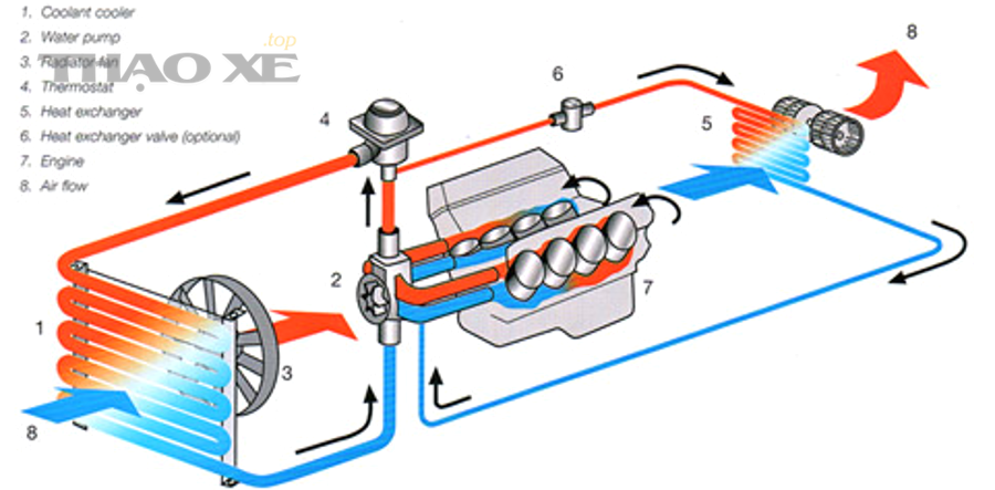 Van hằng nhiệt (thermostat) động cơ - nguyên lý kiểm tra bằng nước nóng