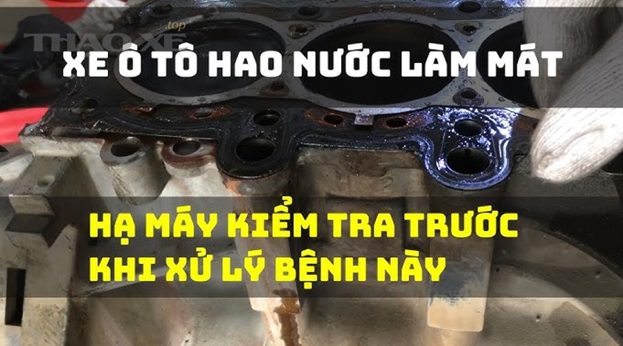 Khoang động cơ ô tô cần kiểm tra khi nước làm mát bị hao