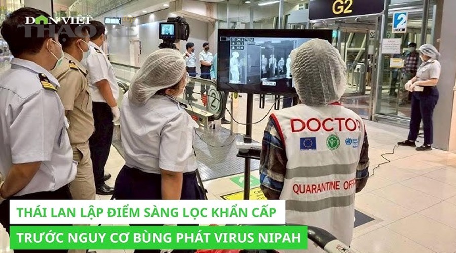 Những trường hợp nào dễ bị nhầm với chập điện nghiêm trọng trên ô tô?