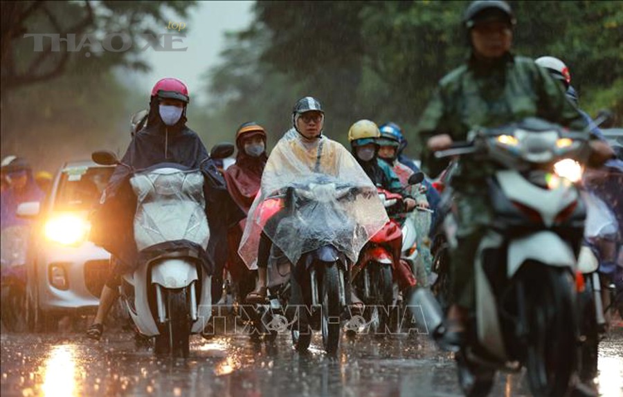 Quy tắc thao tác nhanh khi buộc phải dừng khẩn trong mưa lạnh
