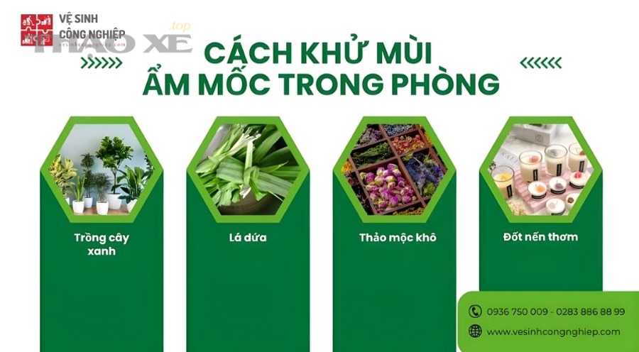 Những sai lầm nào khiến mùi ẩm mốc mùa mưa càng dễ quay lại?