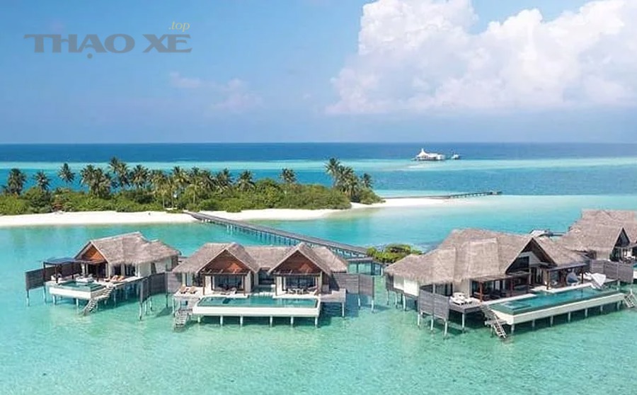 Khu vực lọc dầu động cơ ô tô là điểm hay rò rỉ nếu gioăng lọc lắp sai hoặc siết không chuẩn