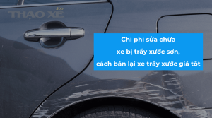 medium ban xe tray xuoc son gia tot 4306dab9a8