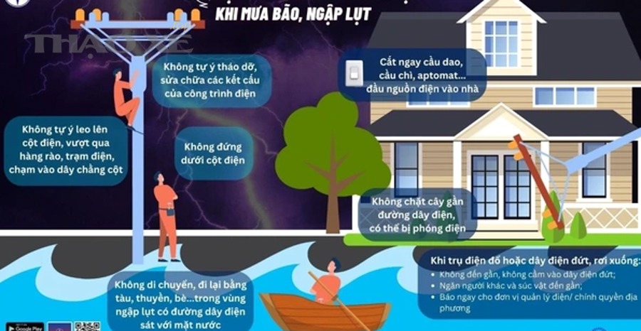 Khoang lái ô tô và khu vực vô lăng liên quan túi khí airbag