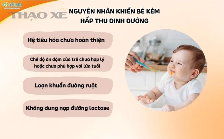 nguyen nhan tre kem hap thu cham tang can min jpg
