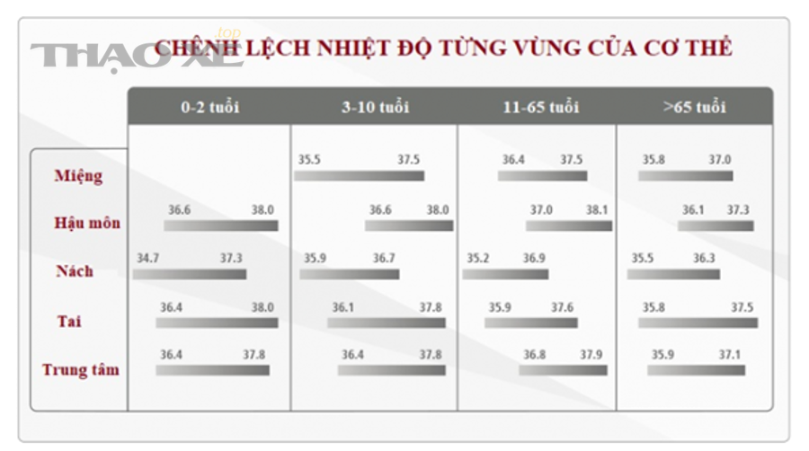 Van hằng nhiệt trong hệ thống làm mát động cơ ô tô