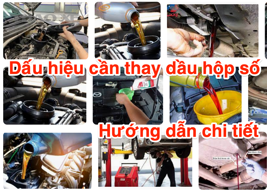 Bảo dưỡng xe ô tô, kiểm tra chất lỏng và tình trạng vận hành
