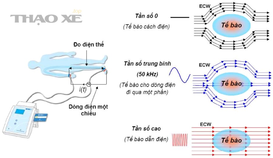 Sau khi nghi ngờ BCM, những tình huống đặc biệt nào chủ xe cũng nên lưu ý?