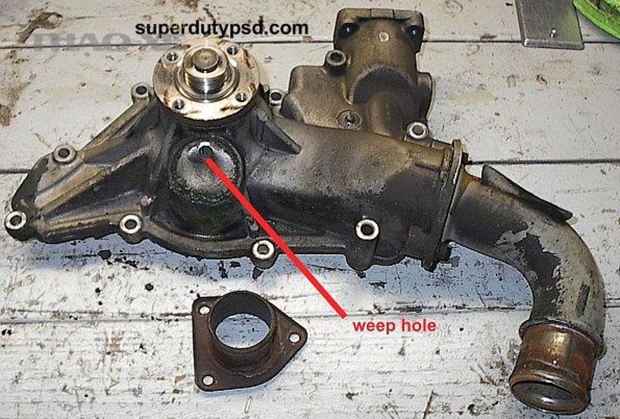 Vị trí weep hole (lỗ thoát) trên bơm nước - dấu hiệu rò rỉ phớt bơm